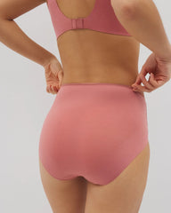 Vanishing Edge Microfiber Modern Brief Panty with Lace - CLAY ROSE | Soma Online