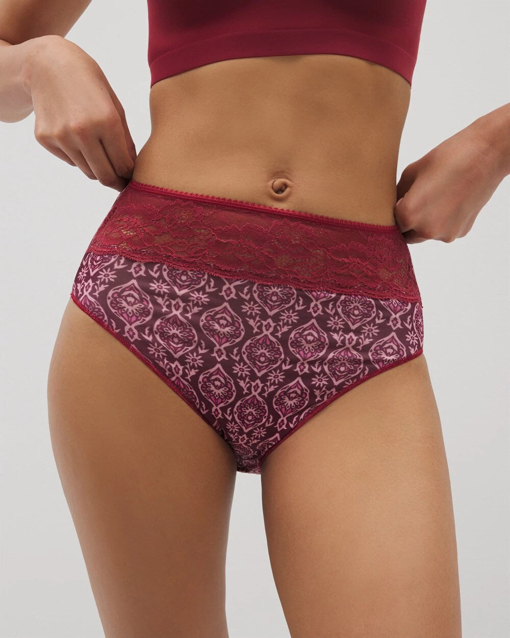 Vanishing Edge Microfiber Modern Brief Panty with Lace - PLENTIFUL PIECES KISS | Soma Online