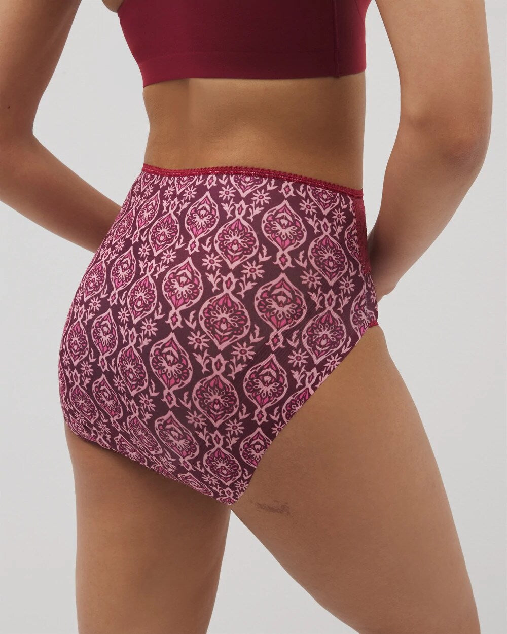Vanishing Edge Microfiber Modern Brief Panty with Lace - PLENTIFUL PIECES KISS | Soma Online