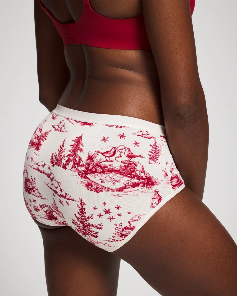Cotton Modern Brief Panty - ENCHANTED TOILE CHAMPAGNE | Soma near me
